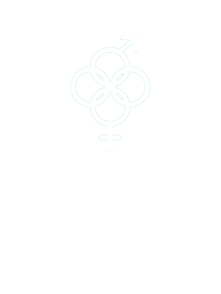 Constant Hygiene Logo